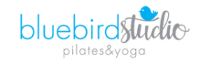 Bluebird studio logo jaluses